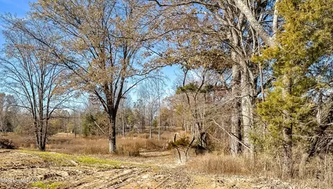 Belmont Road, Hernando, MS 38632 photo 14