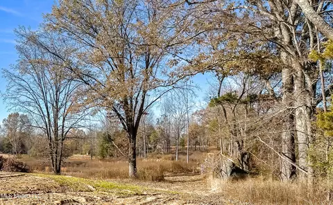 Belmont Road, Hernando, MS 38632 photo 13