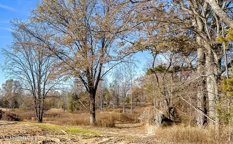 Belmont Road, Hernando, MS 38632 photo 17