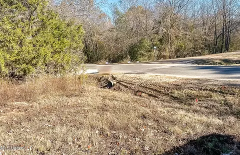 Belmont Road, Hernando, MS 38632 photo 4