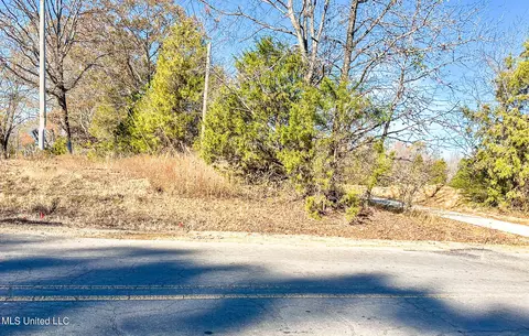 Belmont Road, Hernando, MS 38632 photo 8