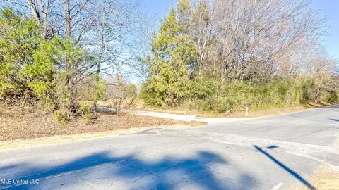 Belmont Road, Hernando, MS 38632 photo 7