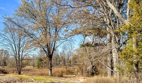 Belmont Road, Hernando, MS 38632 photo 15