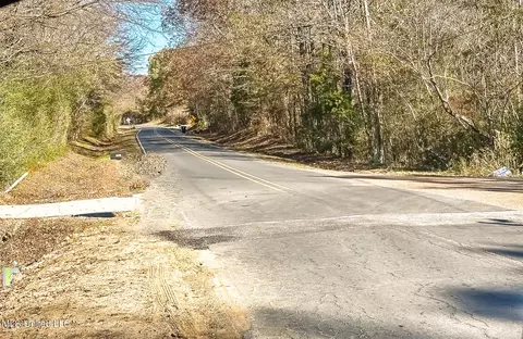 Belmont Road, Hernando, MS 38632 photo 2