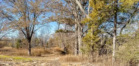 Belmont Road, Hernando, MS 38632 photo 19