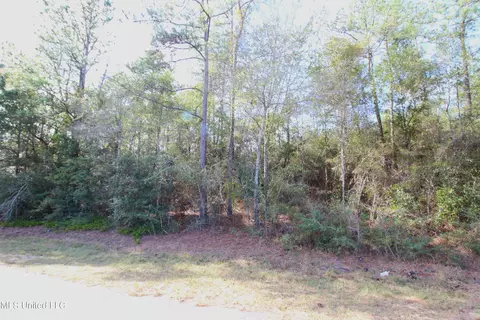 2 1 Ac Inland Beach Rd, Lucedale, MS 39452 photo 4