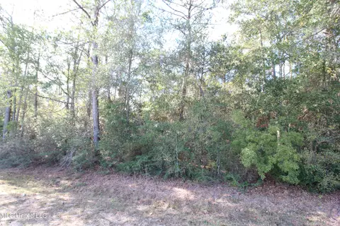 2 1 Ac Inland Beach Rd, Lucedale, MS 39452