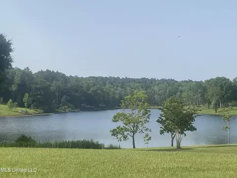lot38 Susan Cooley Rd, Lucedale, MS 39452 photo 2