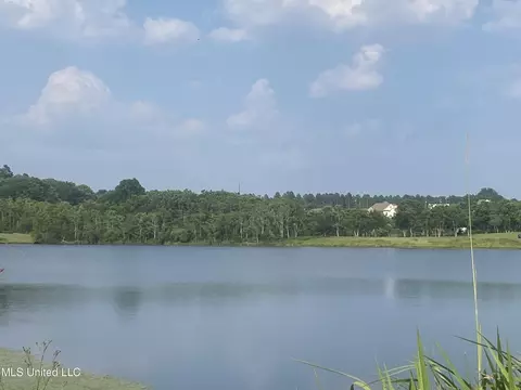 lot38 Susan Cooley Rd, Lucedale, MS 39452 photo 9