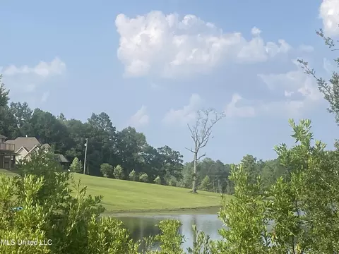 lot38 Susan Cooley Rd, Lucedale, MS 39452 photo 10