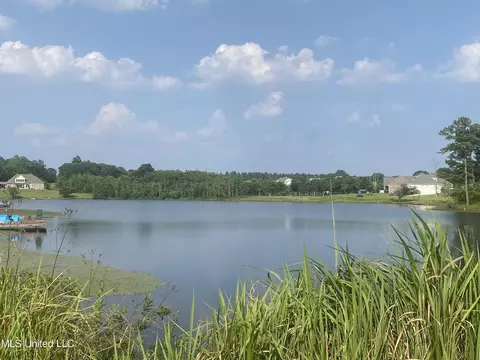 lot38 Susan Cooley Rd, Lucedale, MS 39452 photo 8