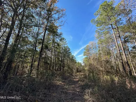 Antioch Shiloh Rd, Pelahatchie, MS 39145