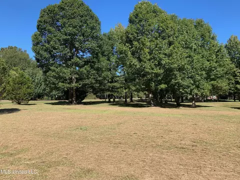 Tullos Cv, Brandon, MS 39042 photo 4