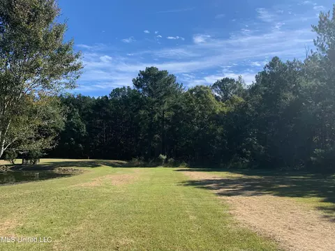Tullos Cv, Brandon, MS 39042 photo 3
