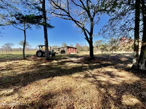279 Hwy 541, Mount Olive, MS 39119 photo 9