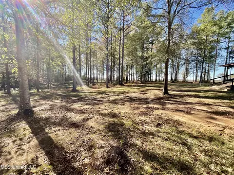 279 Hwy 541, Mount Olive, MS 39119 photo 6