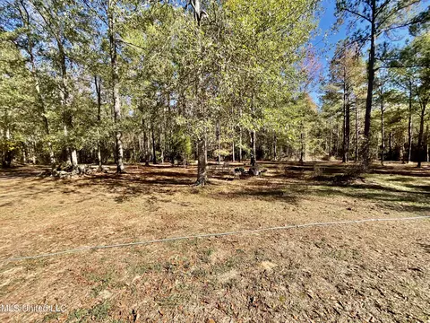 279 Hwy 541, Mount Olive, MS 39119 photo 3