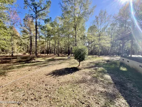 279 Hwy 541, Mount Olive, MS 39119 photo 2