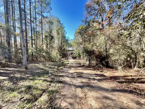 279 Hwy 541, Mount Olive, MS 39119 photo 10