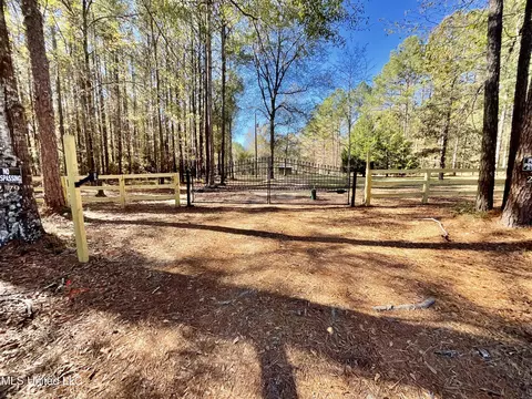 279 Hwy 541, Mount Olive, MS 39119 photo 11