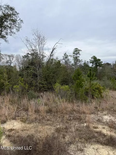 0000000 E Dummyline Rd, Picayune, MS 39466 photo 2