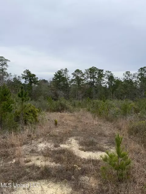 0000000 E Dummyline Rd, Picayune, MS 39466 photo 3