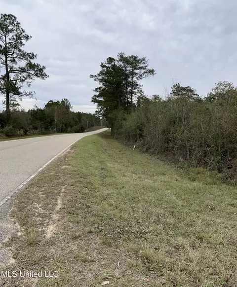 0000000 E Dummyline Rd, Picayune, MS 39466 photo 22