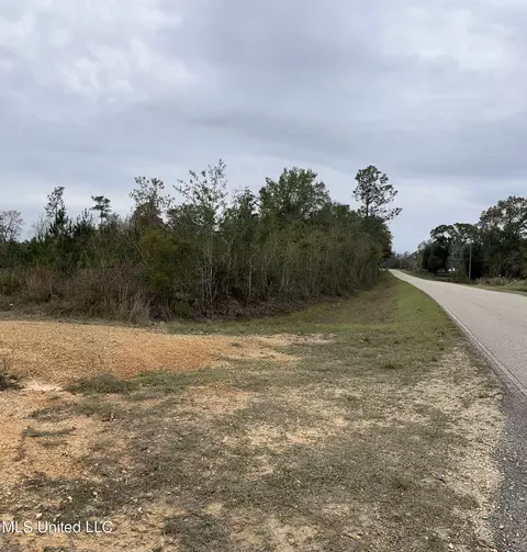 0000000 E Dummyline Rd, Picayune, MS 39466 photo 21