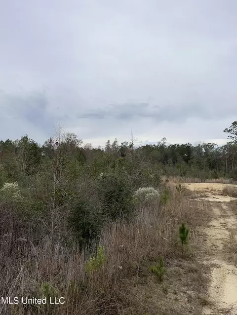 0000000 E Dummyline Rd, Picayune, MS 39466 photo 7