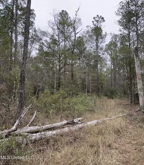 0000000 E Dummyline Rd, Picayune, MS 39466 photo 15