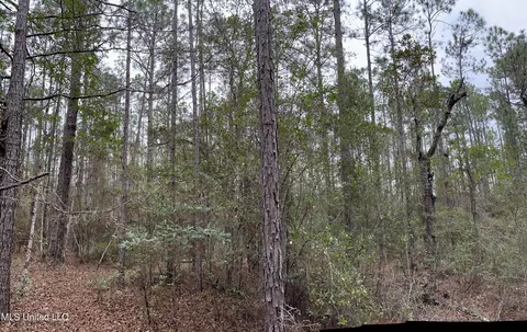 0000000 E Dummyline Rd, Picayune, MS 39466 photo 19