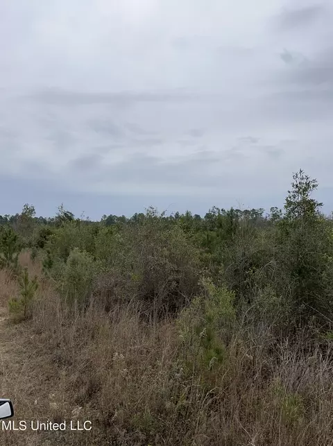 0000000 E Dummyline Rd, Picayune, MS 39466 photo 4