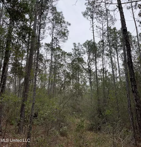0000000 E Dummyline Rd, Picayune, MS 39466