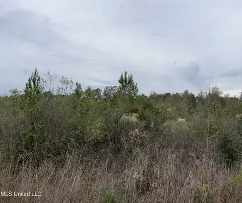0000000 E Dummyline Rd, Picayune, MS 39466 photo 6