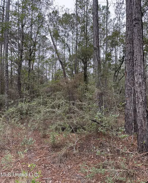 0000000 E Dummyline Rd, Picayune, MS 39466 photo 14
