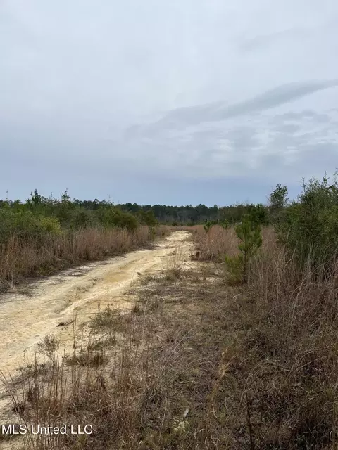 0000000 E Dummyline Rd, Picayune, MS 39466 photo 8