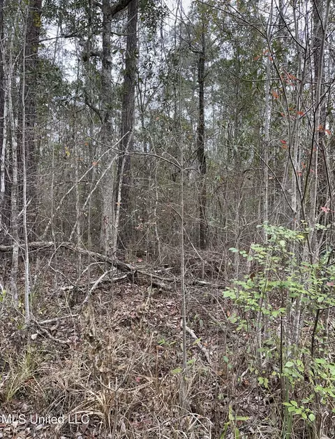 0000000 E Dummyline Rd, Picayune, MS 39466 photo 13