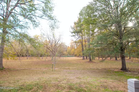 117 Oakhurst Drive Dr, Clinton, MS 39056 photo 30