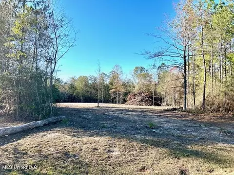 Vic Wertz Road, Saucier, MS 39574 photo 4