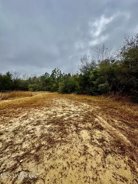 Amberwood, Lucedale, MS 39452 photo 3