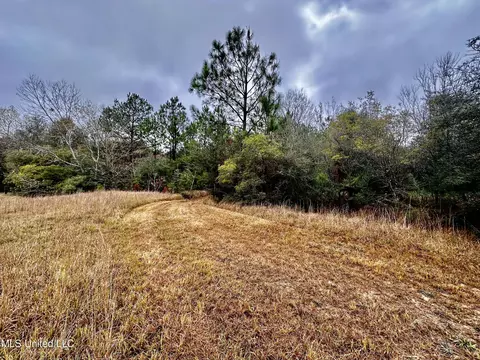 Amberwood, Lucedale, MS 39452 photo 5