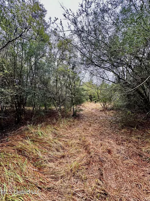 Amberwood, Lucedale, MS 39452 photo 7