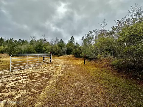 Amberwood, Lucedale, MS 39452 photo 2