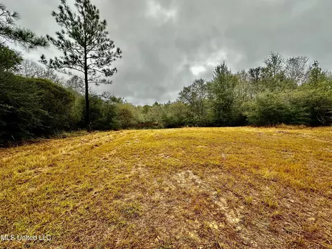 Amberwood, Lucedale, MS 39452 photo 6