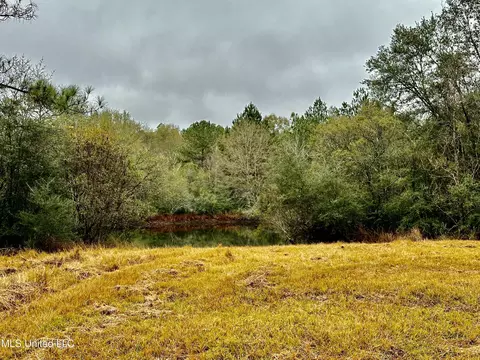 Amberwood, Lucedale, MS 39452 photo 4