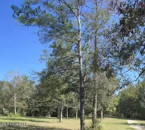 Eden Place, Biloxi, MS 39532 photo 4