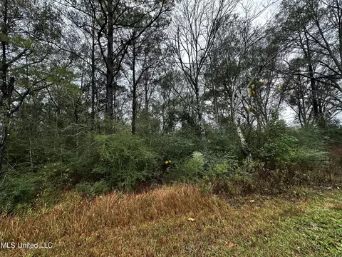 Jackson County Line Rd. 10acre, Lucedale, MS 39452