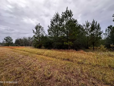 26800 Acres Highway 613, Lucedale, MS 39452 photo 1