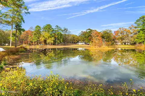 View/Area - 404 Eldorado Rd, Pearl, MS 39208 photo 2 of 17