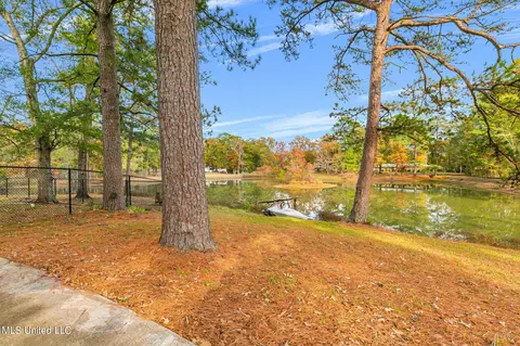 Other - 404 Eldorado Rd, Pearl, MS 39208 photo 8 of 9